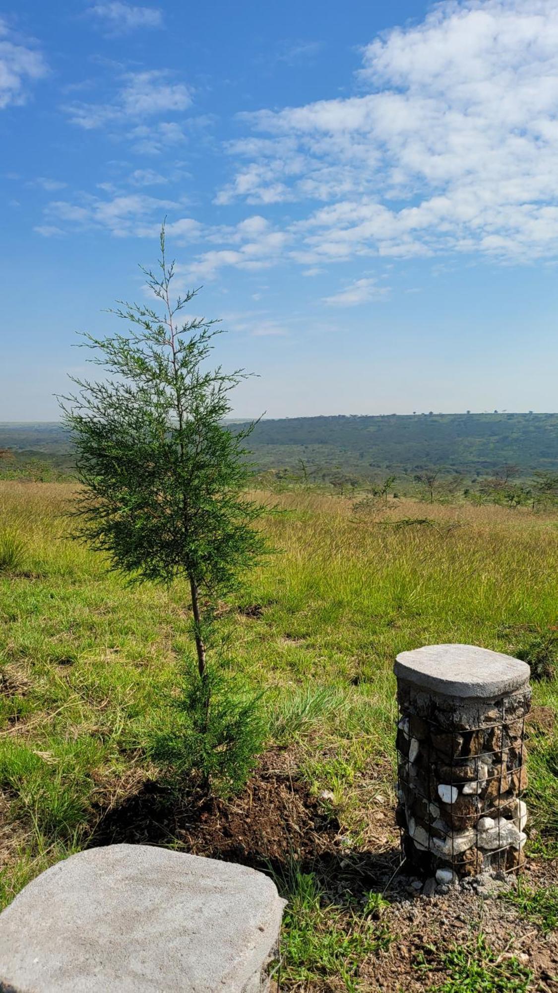 Rockview Cabins - Kajiado Exterior foto