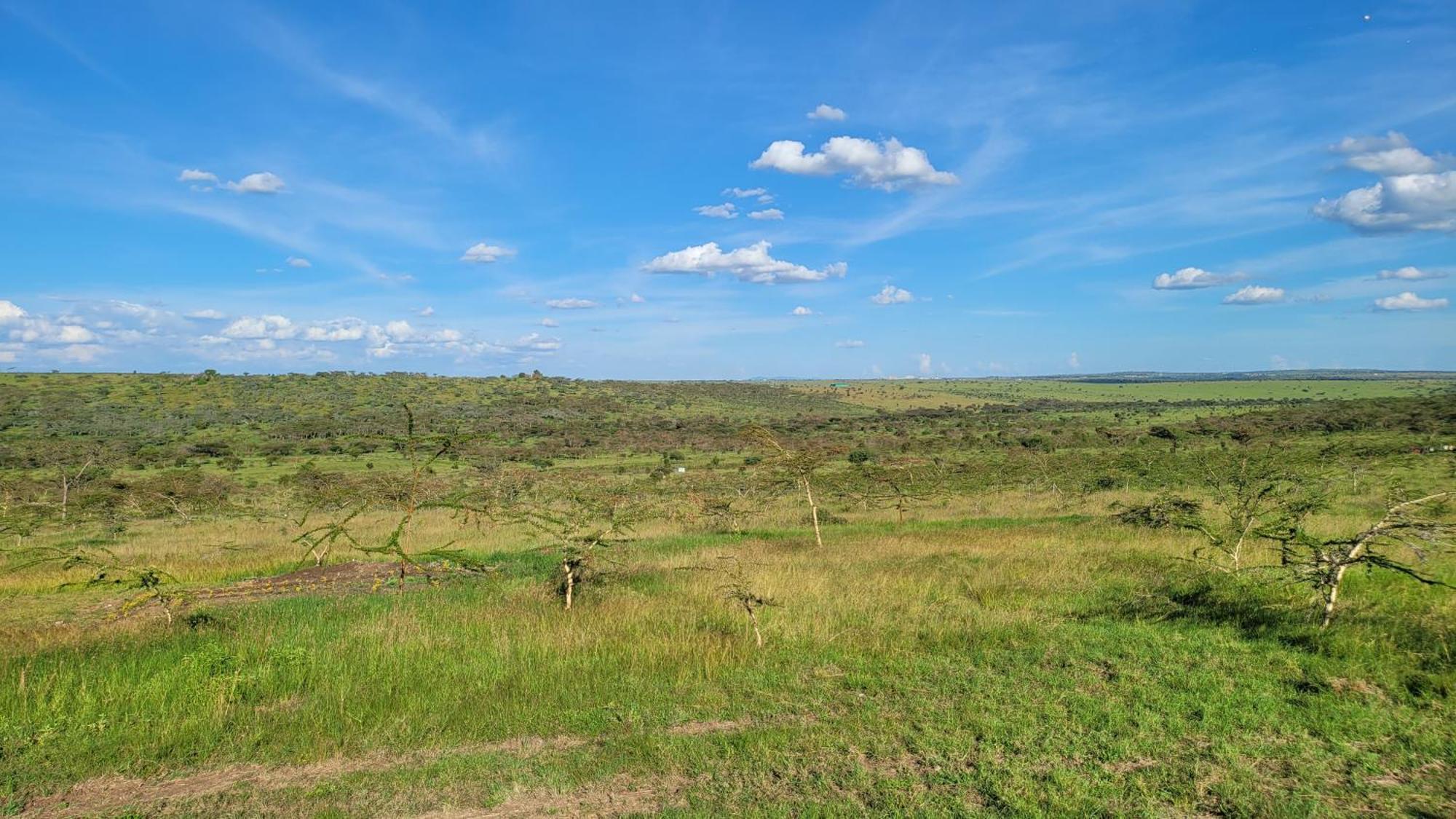 Rockview Cabins - Kajiado Exterior foto